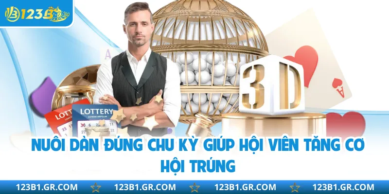 Nuôi dàn đúng chu kỳ giúp hội viên tăng cơ hội trúng